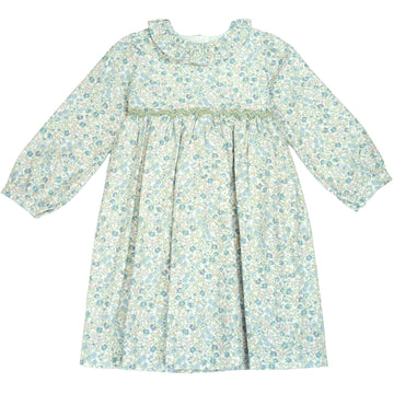 Dress - Blue and Pink Flowers
